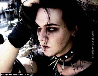 photo 231